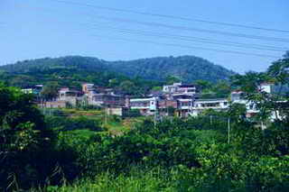 万嘉果园景区